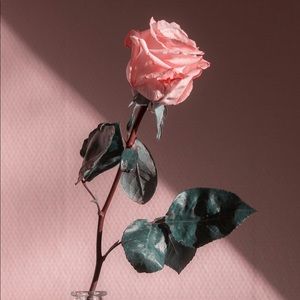 Meet your Posher, Feier